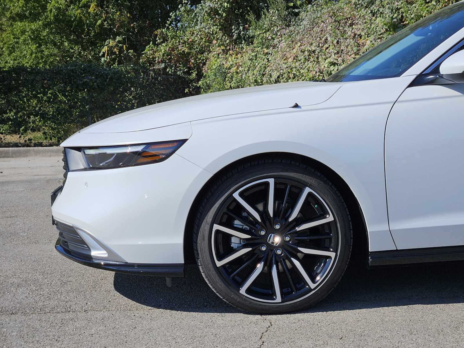 Thumbnail: 2025 Honda Accord - 8