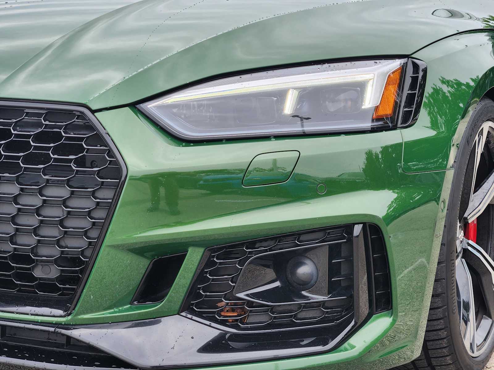 Thumbnail: 2019 Audi RS 5 - 7