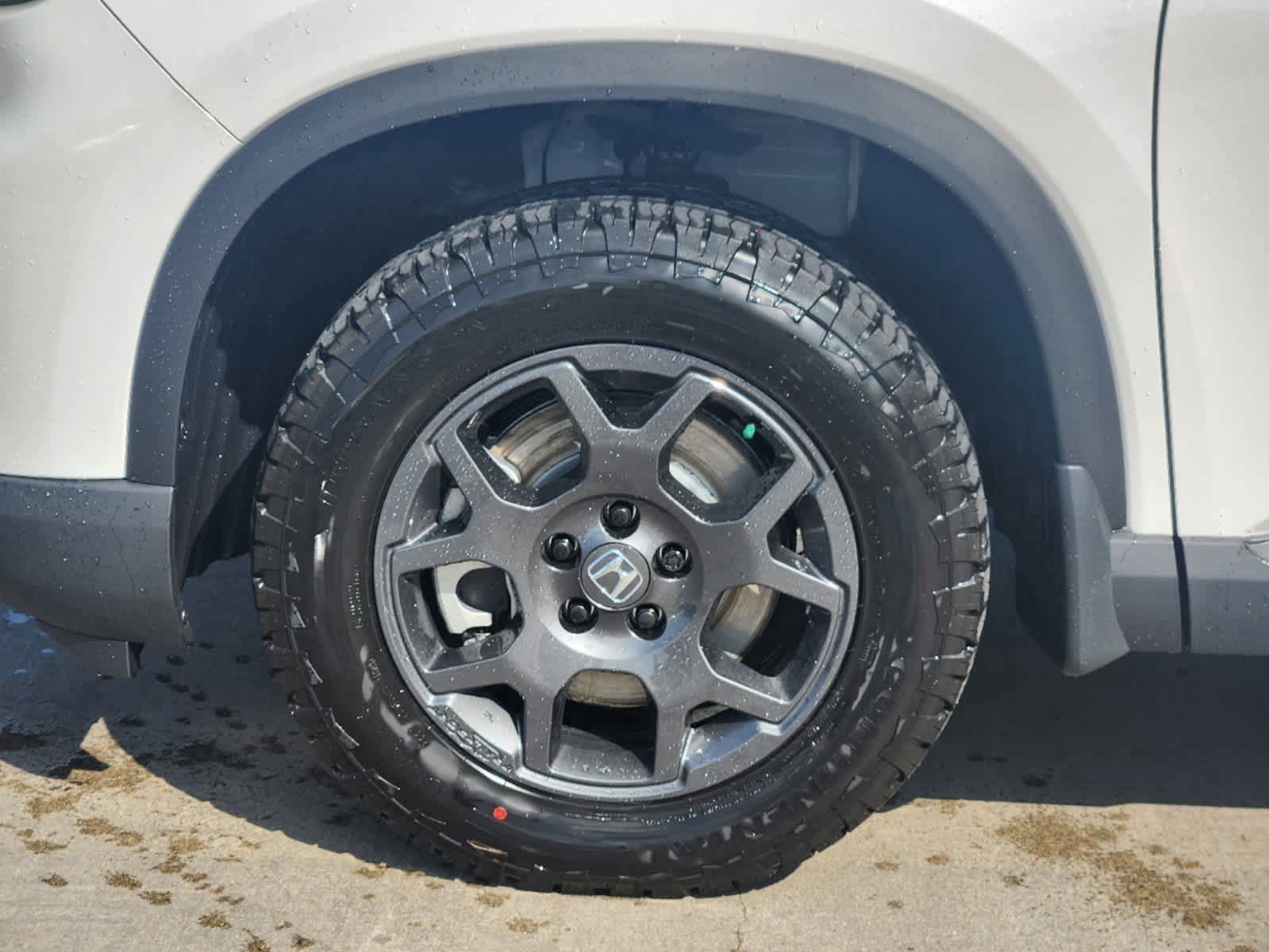 2025 Honda Pilot TrailSport 8