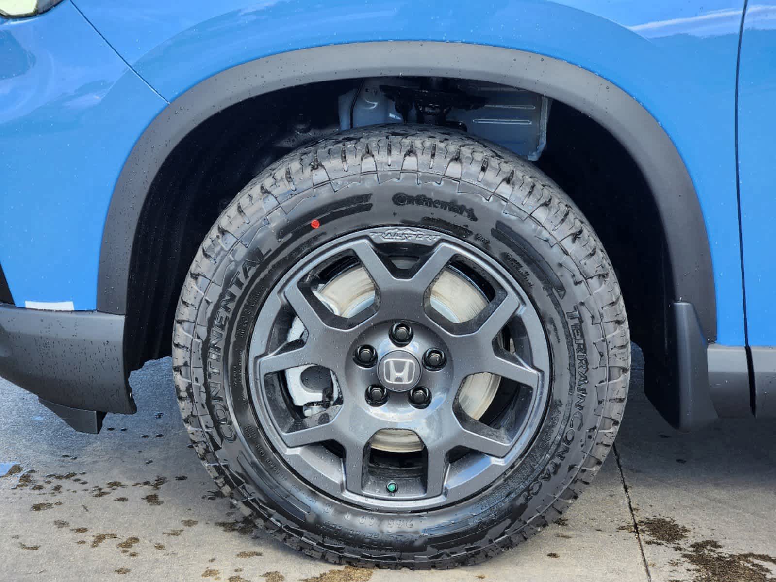 2025 Honda Pilot TrailSport 8
