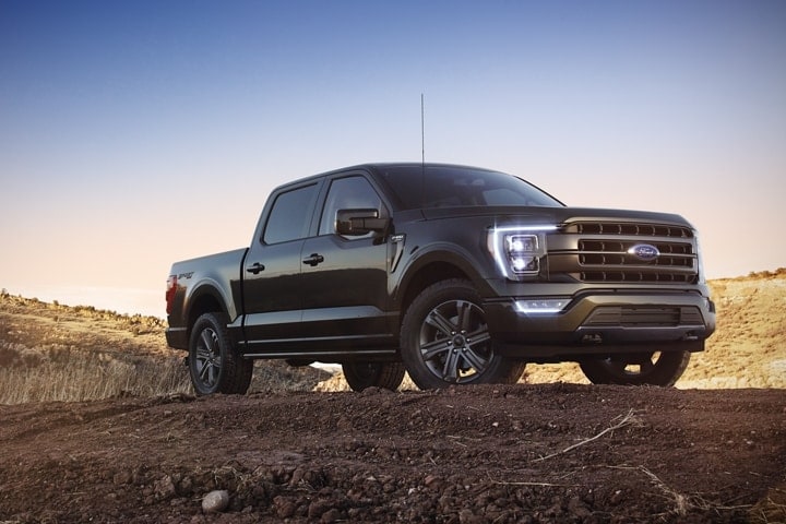 black Ford F-150 truck parked on a dirt trail