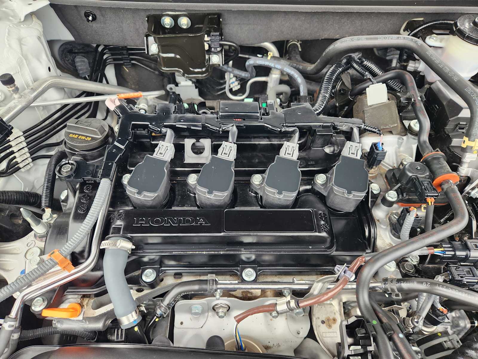 Thumbnail: 2024 Honda Accord - 31