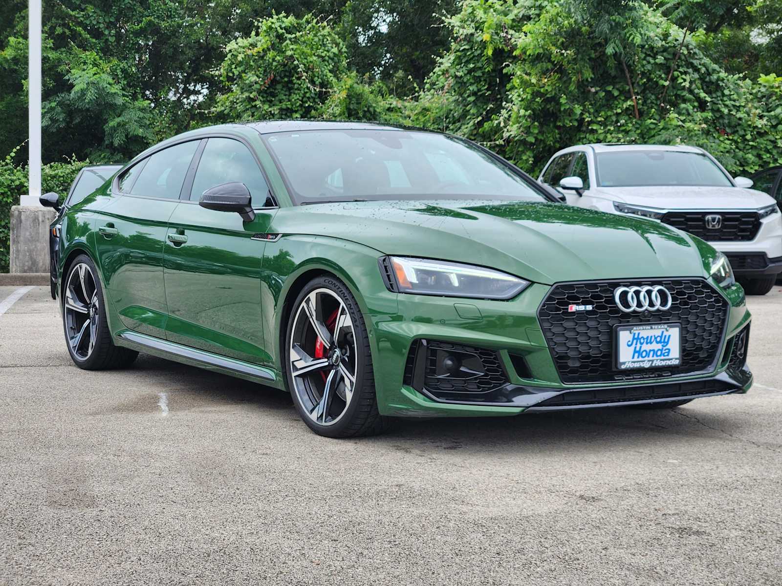 Thumbnail: 2019 Audi RS 5 - 3