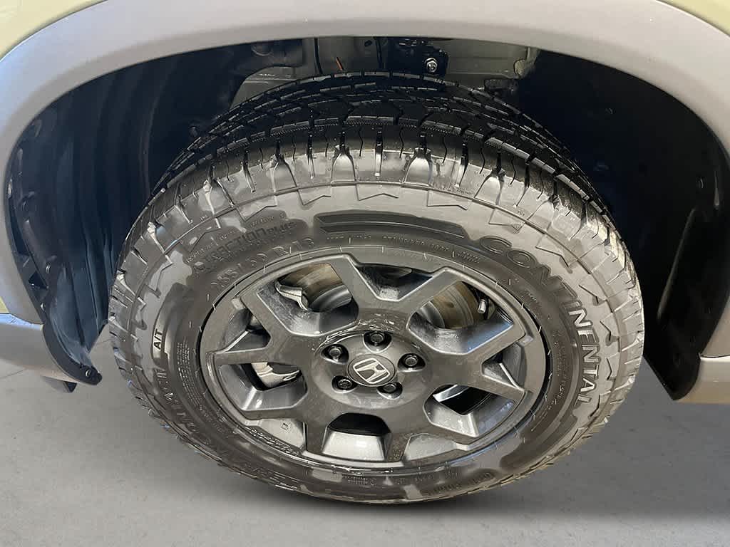 Thumbnail: 2026 Honda Pilot - 11