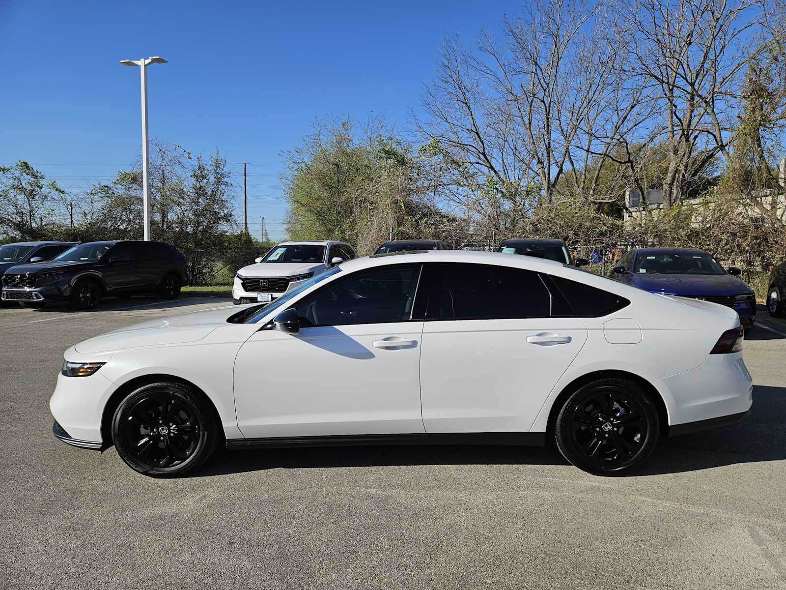 Thumbnail: 2025 Honda Accord - 4