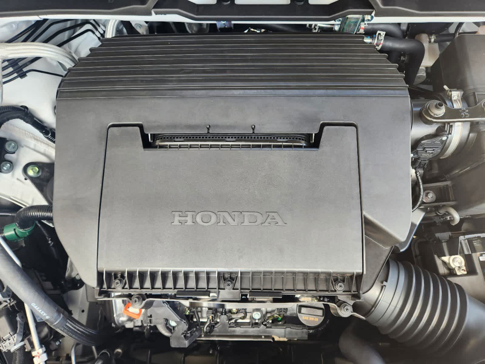 2025 Honda Pilot TrailSport 10