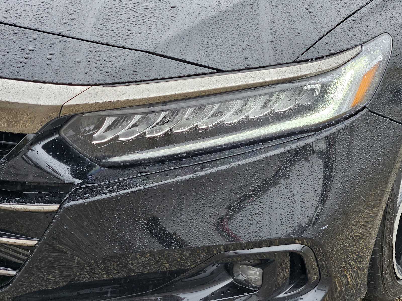 Thumbnail: 2022 Honda Accord - 7