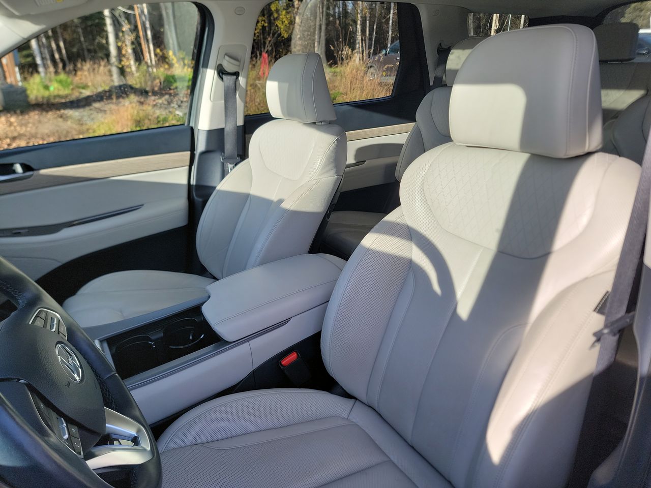 Thumbnail: 2022 Hyundai Palisade - 13