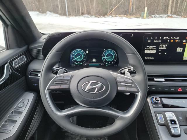 Thumbnail: 2025 Hyundai Palisade - 15