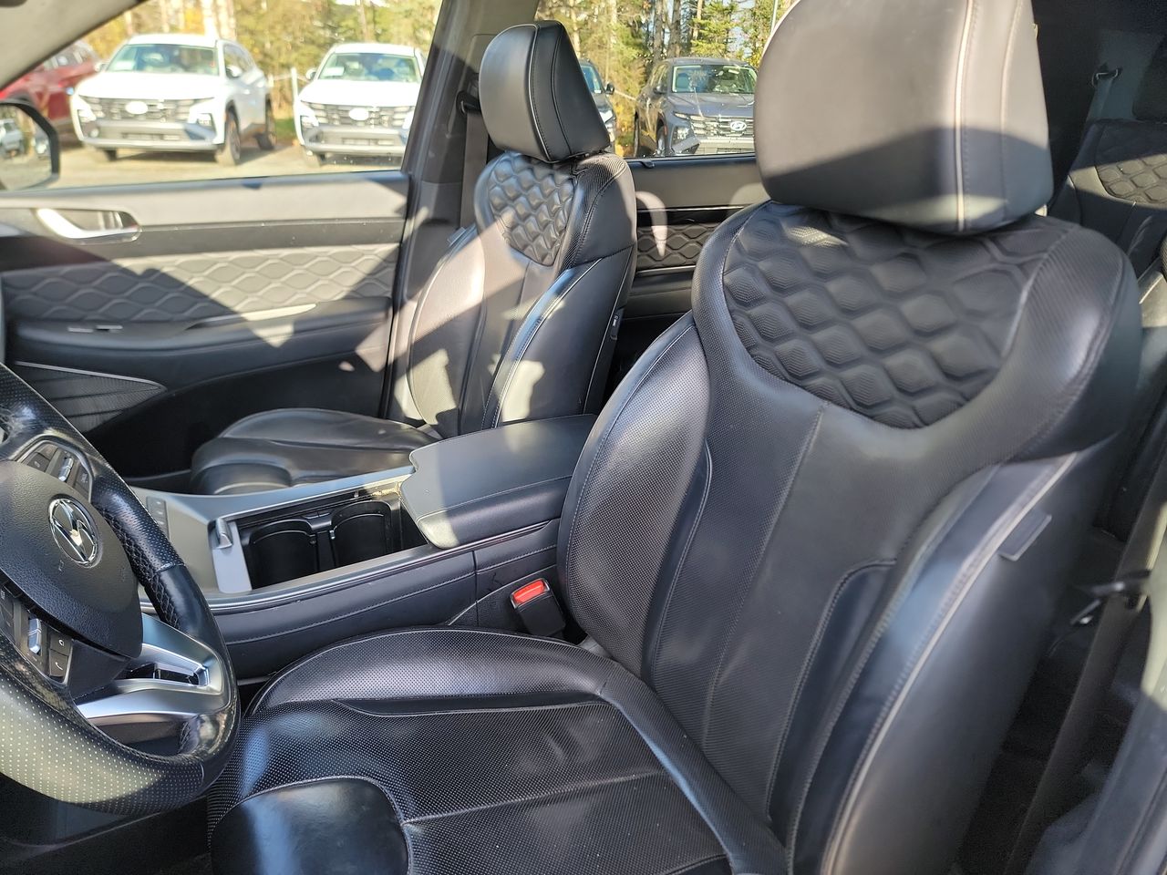 Thumbnail: 2020 Hyundai Palisade - 13