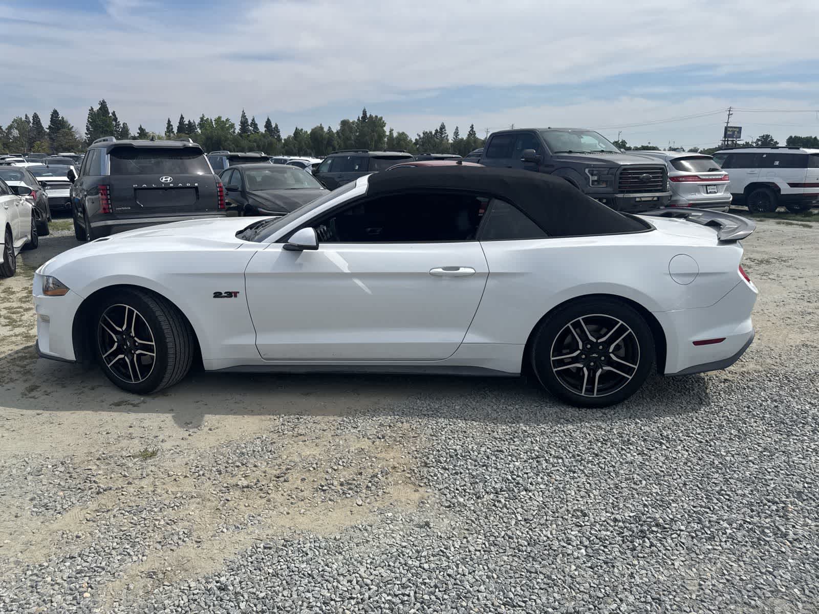 Thumbnail: 2019 Ford Mustang - 8