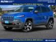 Used 2018 Jeep Cherokee Trailhawk 4x4 SUV