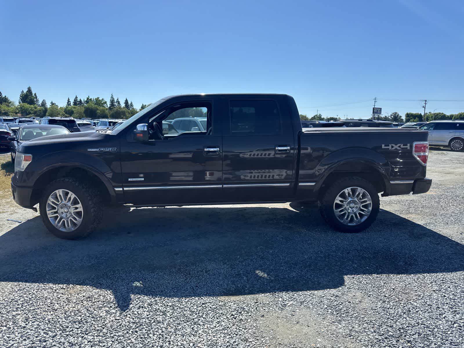 2013 Ford F-150 photo 6