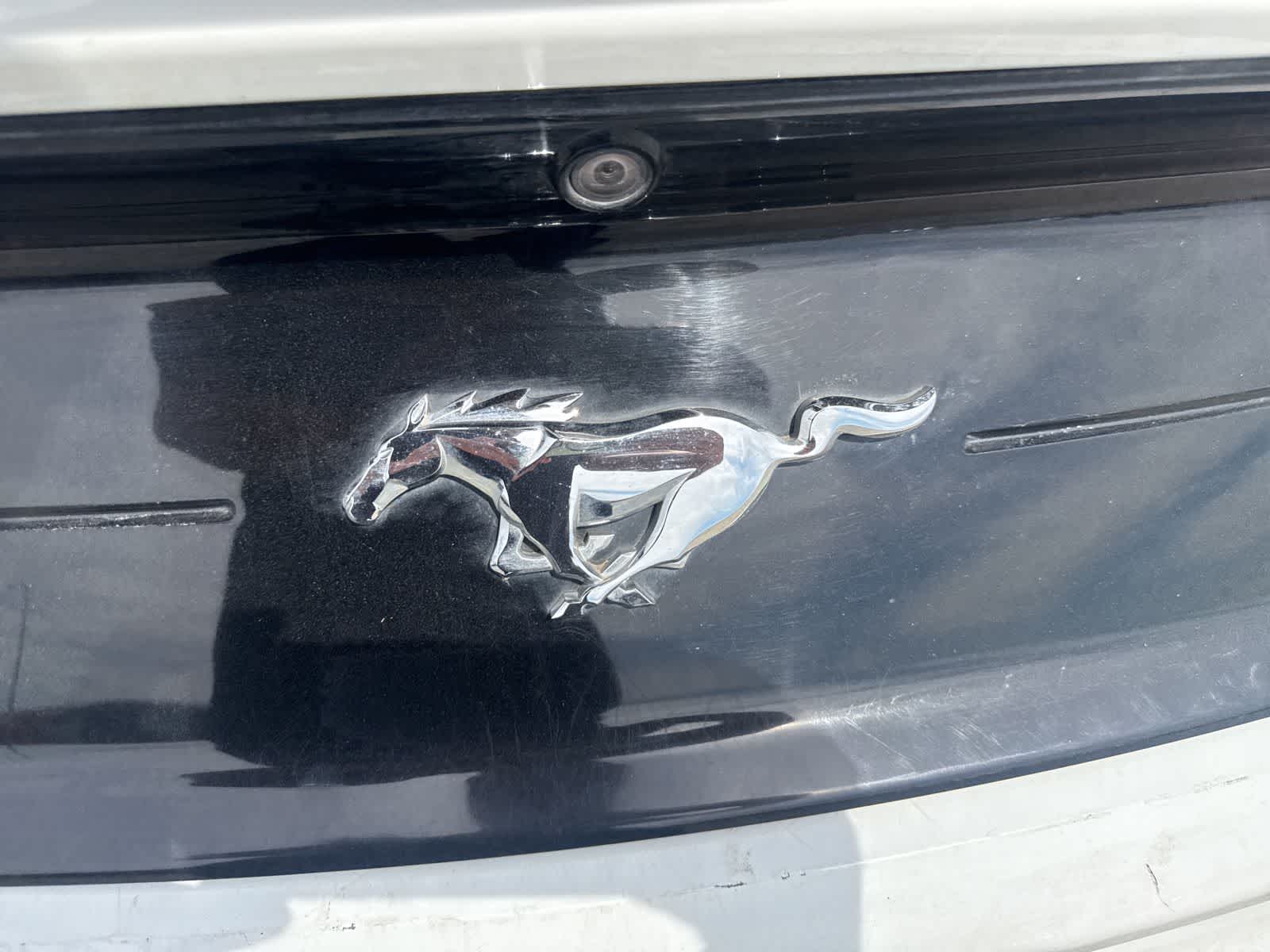 Thumbnail: 2019 Ford Mustang - 13