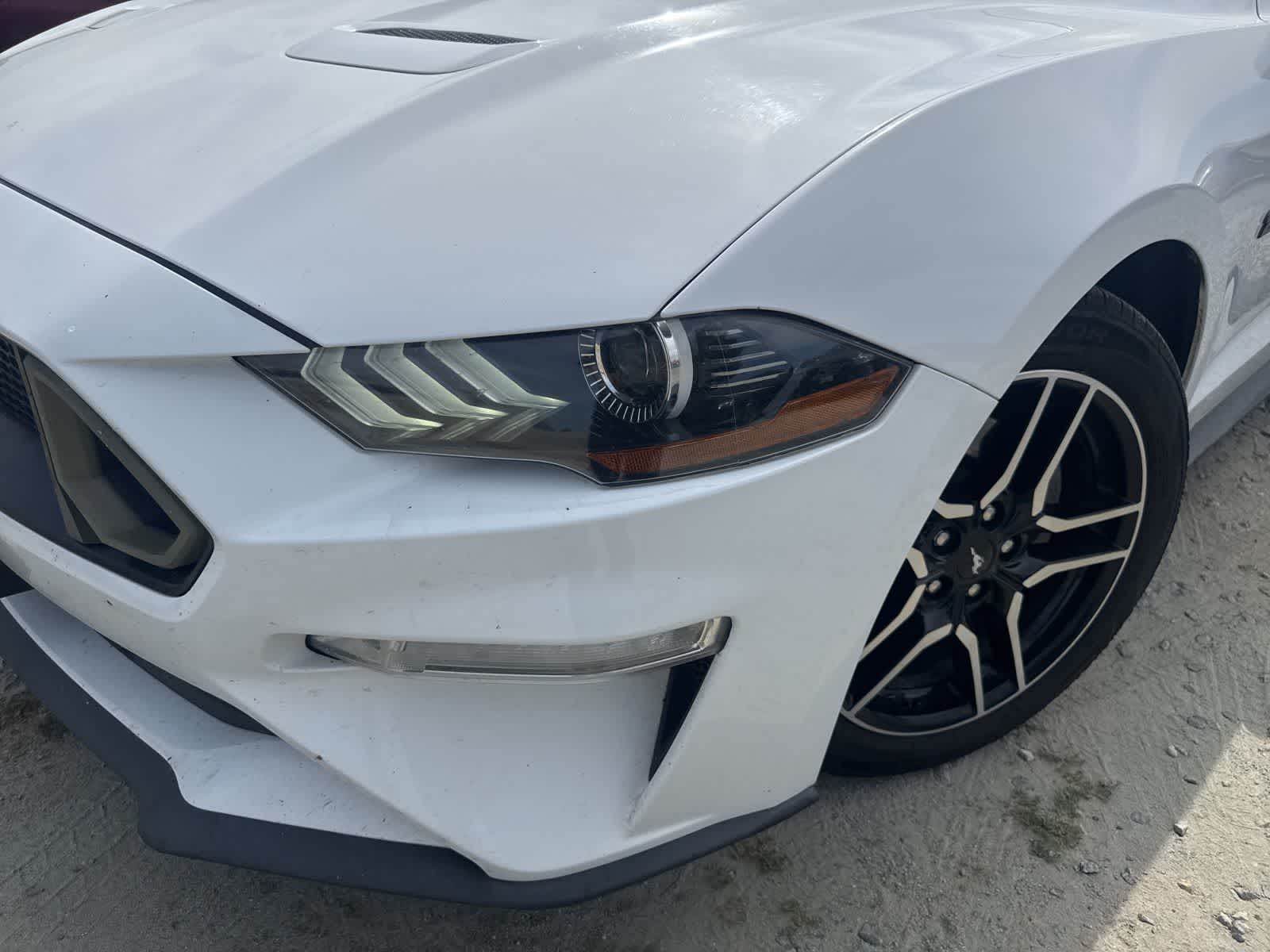 Thumbnail: 2019 Ford Mustang - 9