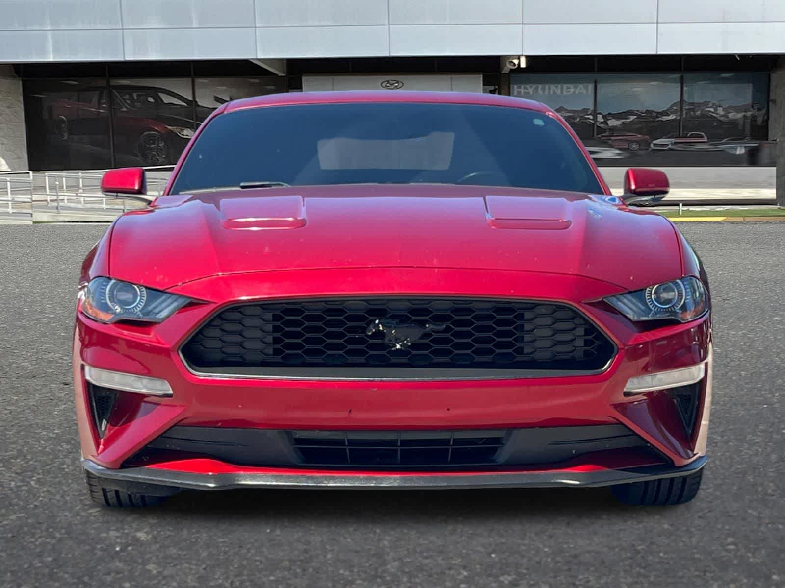 Thumbnail: 2019 Ford Mustang - 11