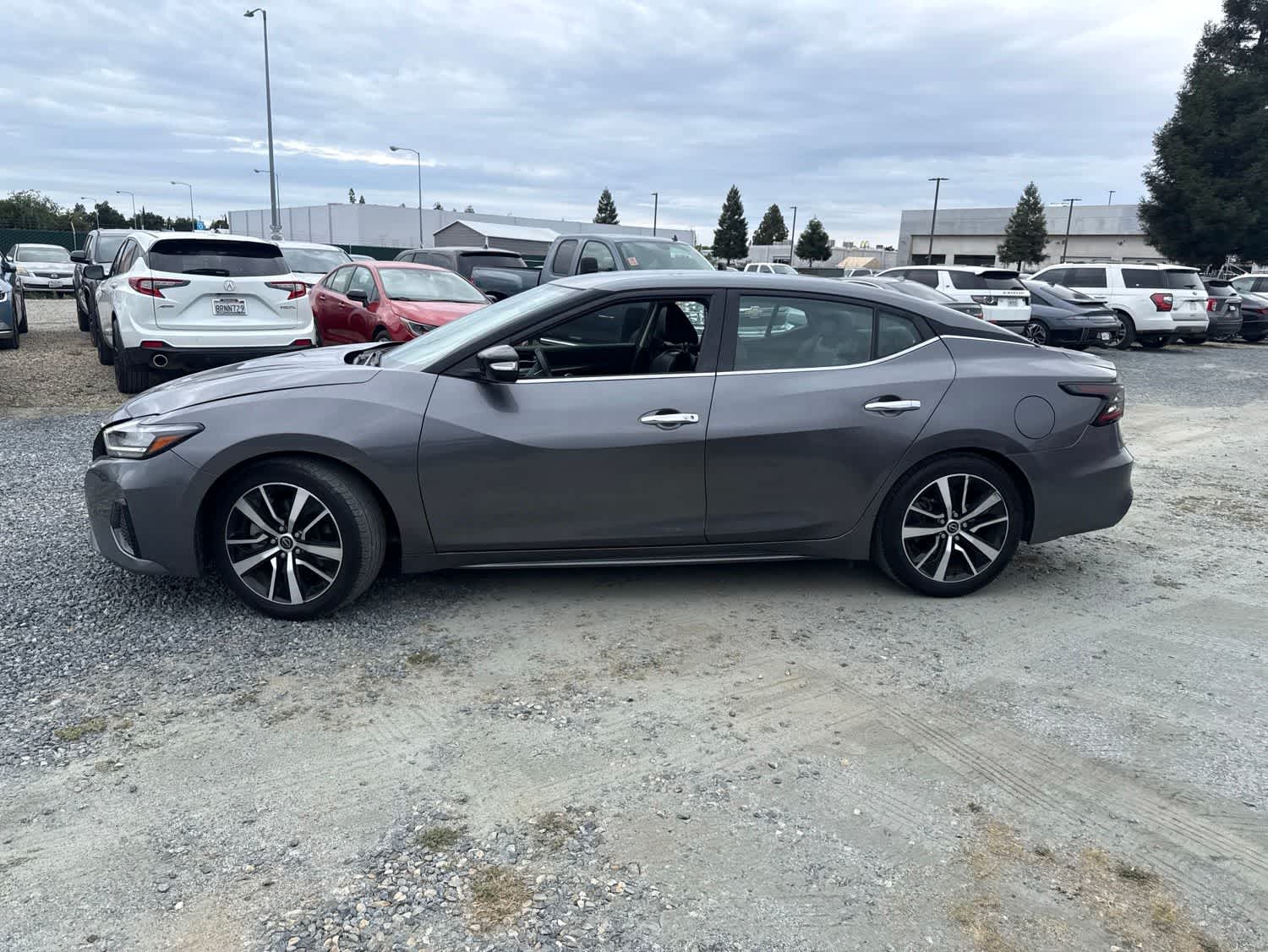 2023 Nissan Maxima SV photo 3