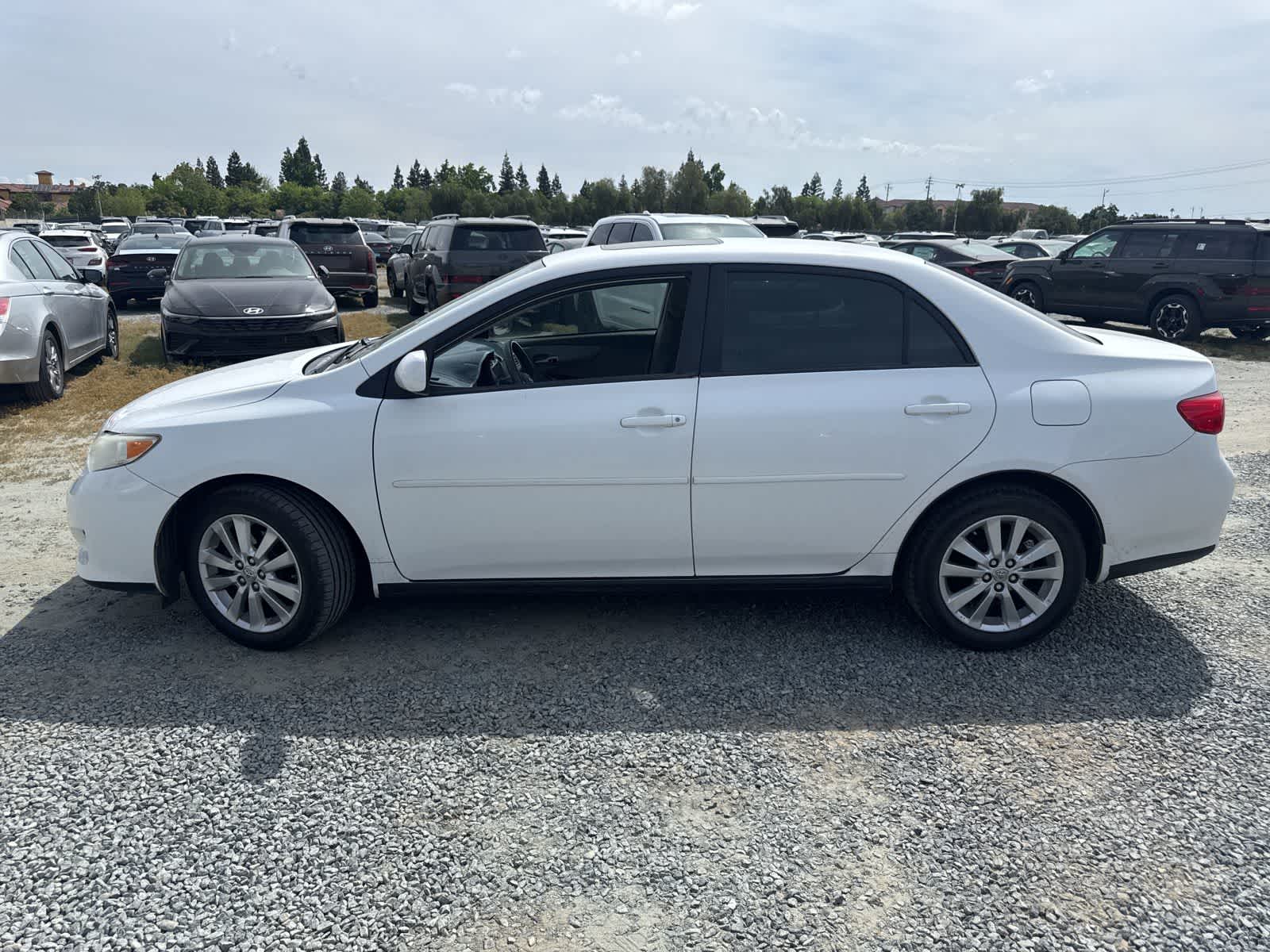 2009 Toyota Corolla XLE photo 3