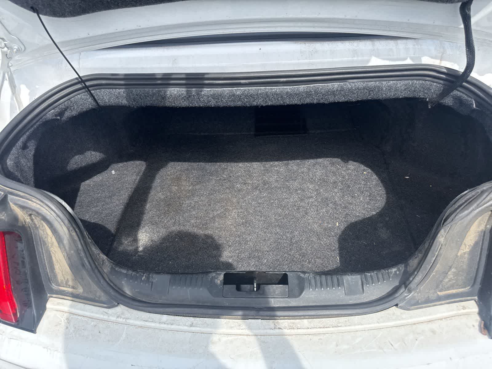 Thumbnail: 2019 Ford Mustang - 14