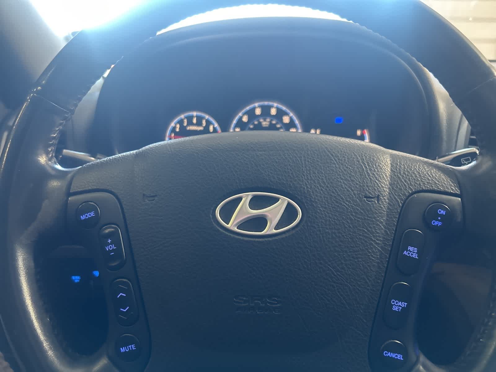 Thumbnail: 2009 Hyundai Santa Fe - 30