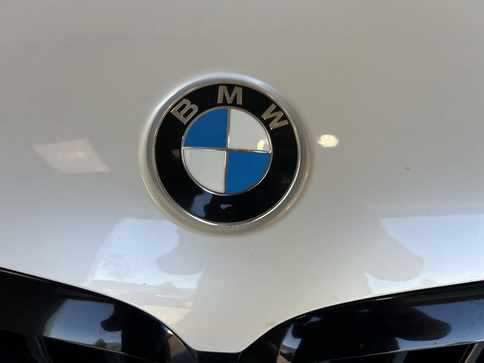 Thumbnail: 2019 BMW X5 - 3