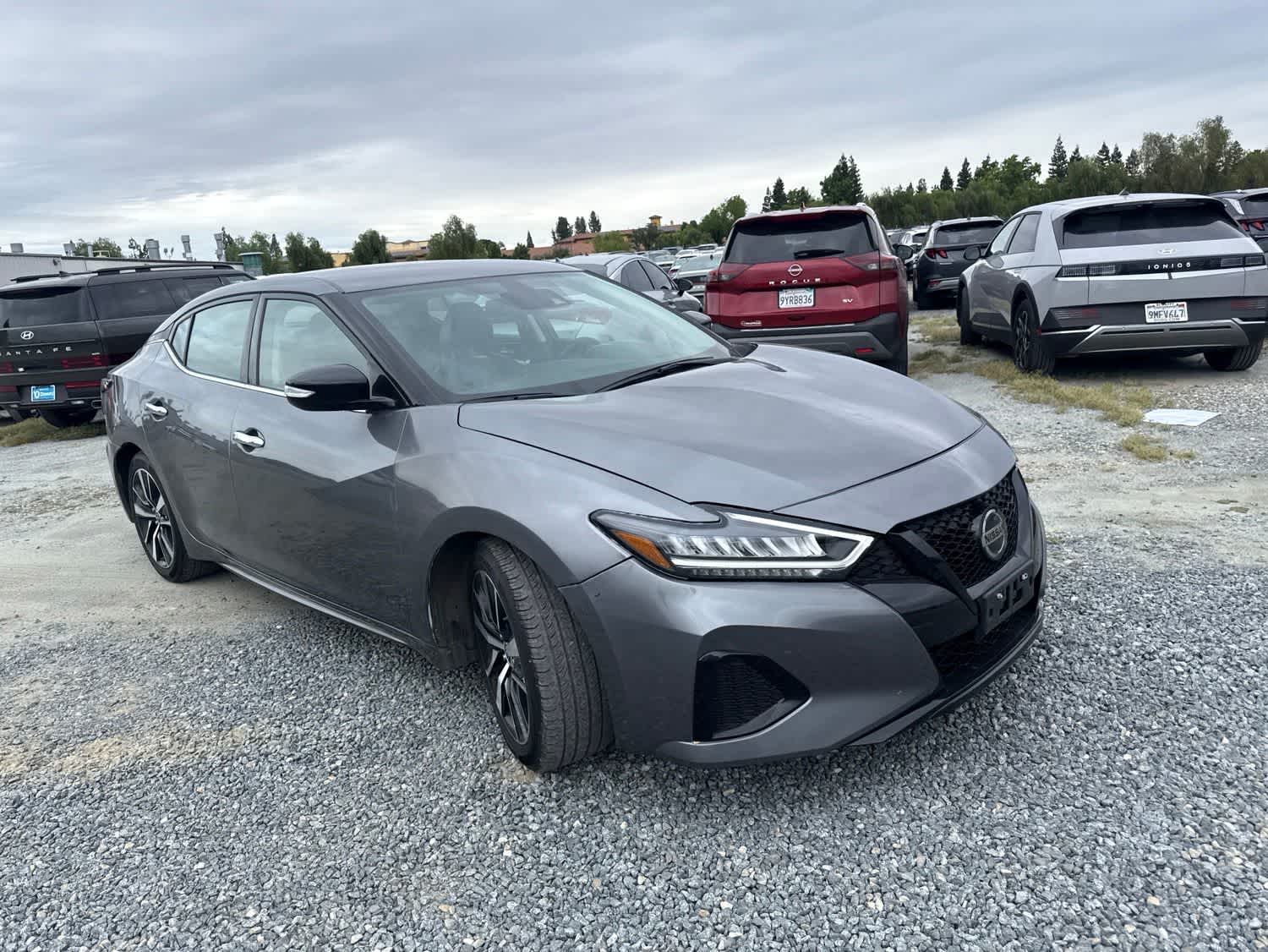 2023 Nissan Maxima SV photo 2