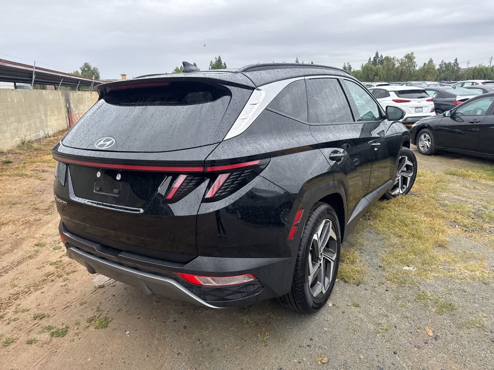 2024 Hyundai Tucson Limited photo 4