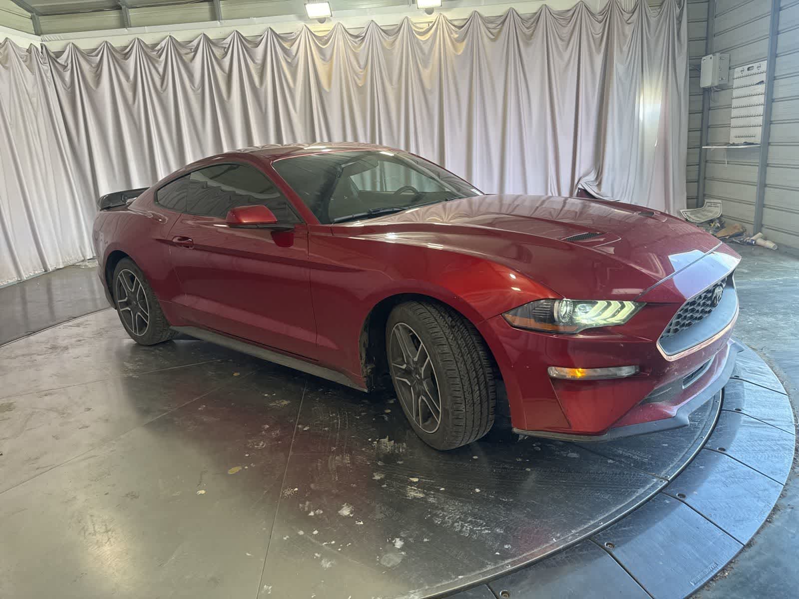 2019 Ford Mustang EcoBoost photo 2
