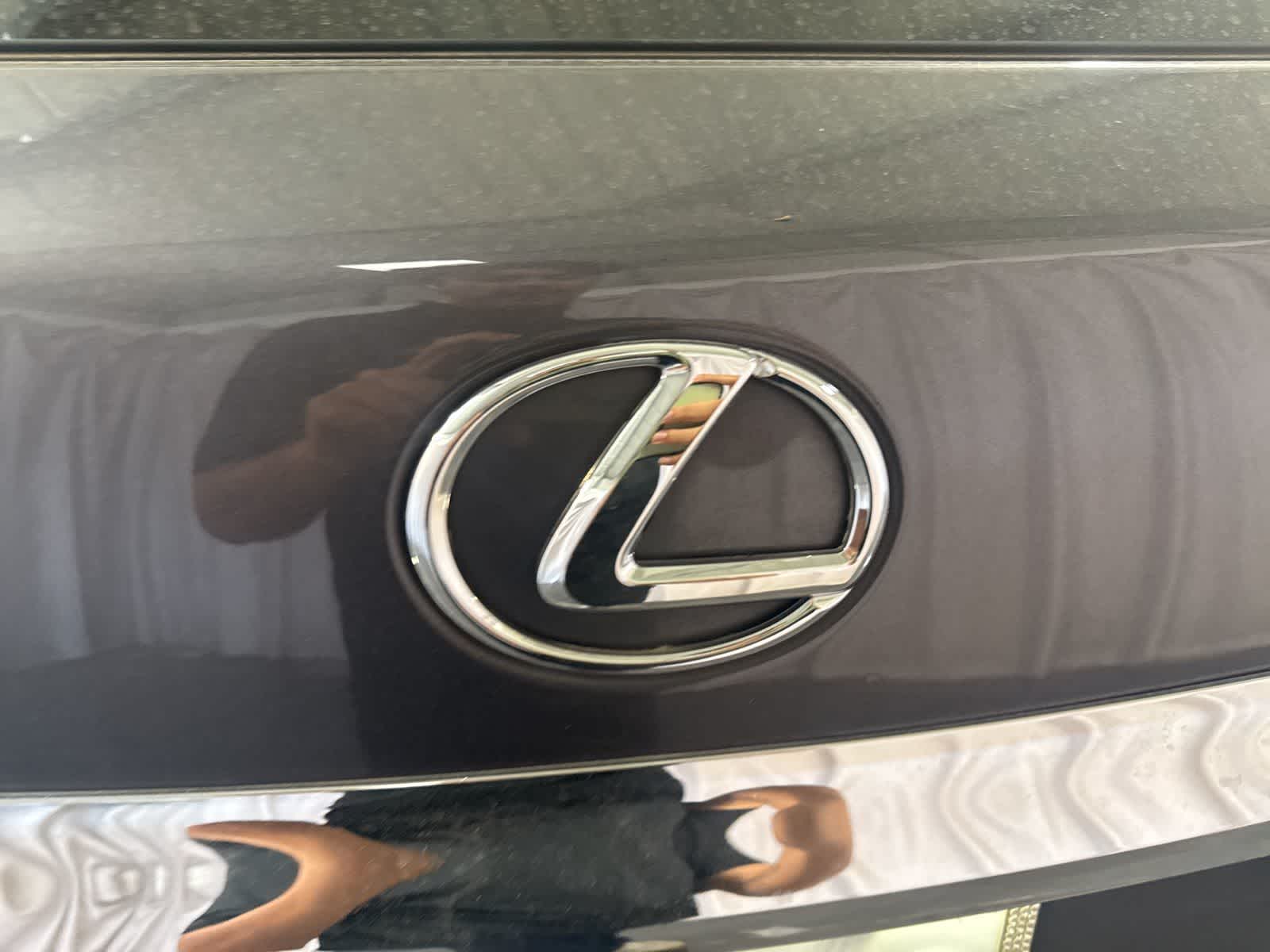 Thumbnail: 2013 Lexus RX - 13