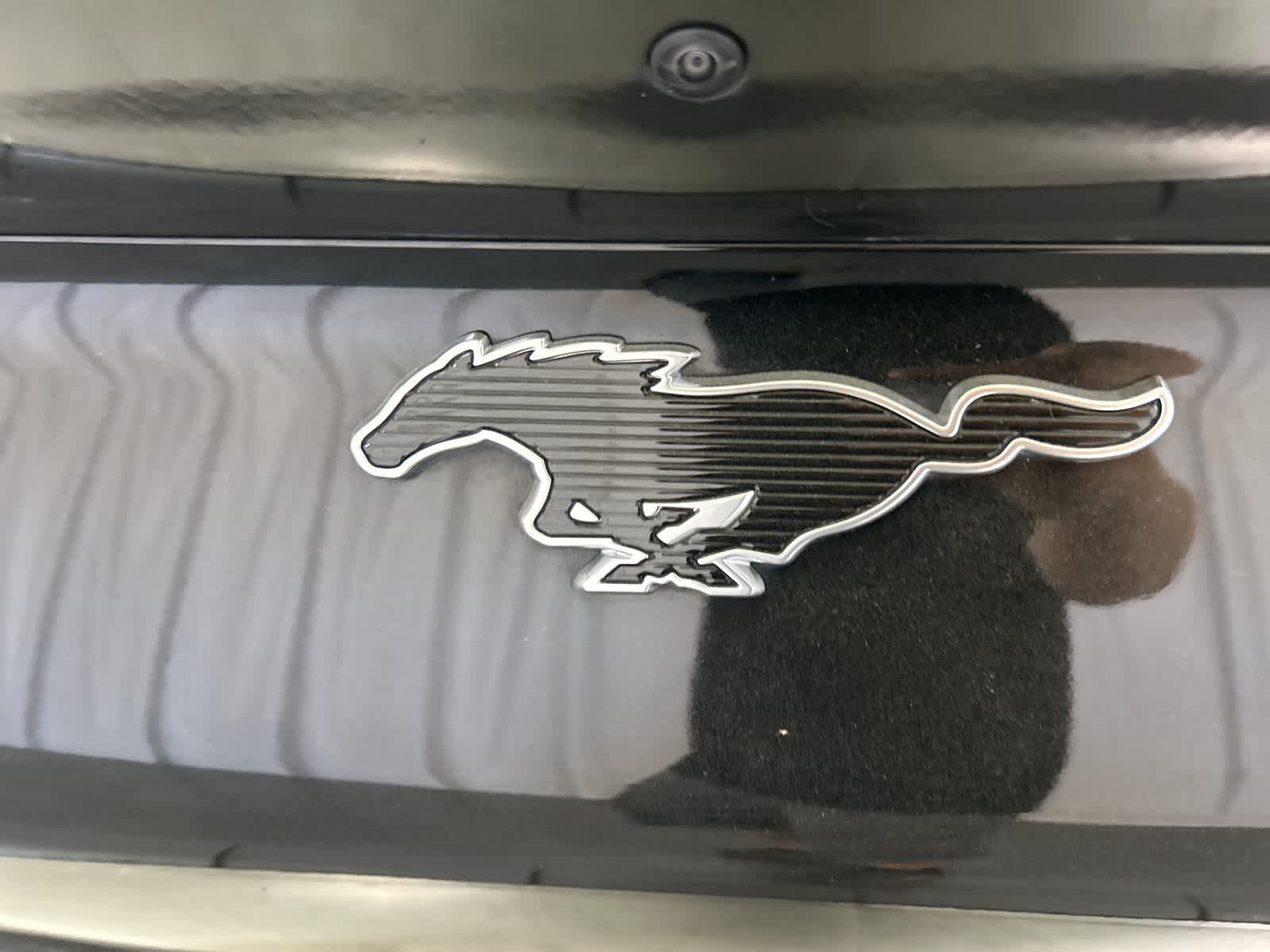 Thumbnail: 2021 Ford Mustang Mach-E - 11