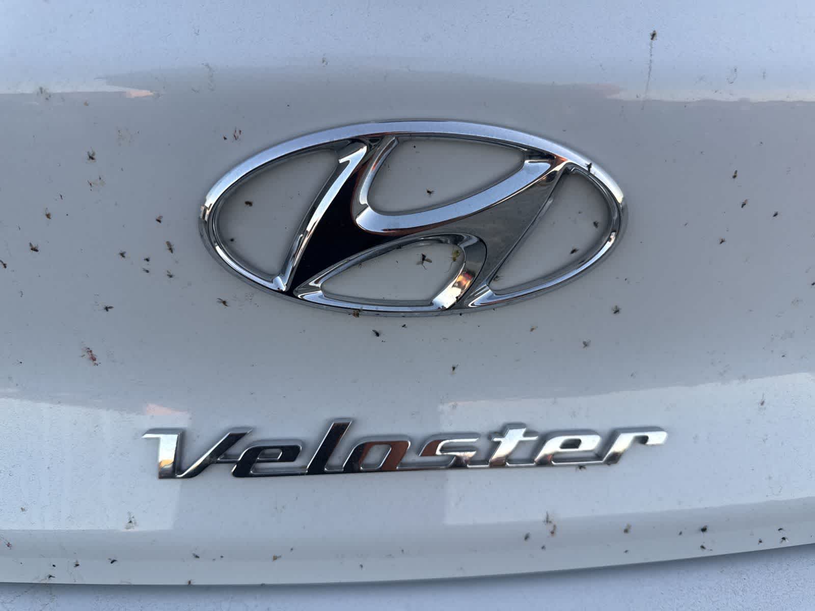 Thumbnail: 2020 Hyundai Veloster - 13