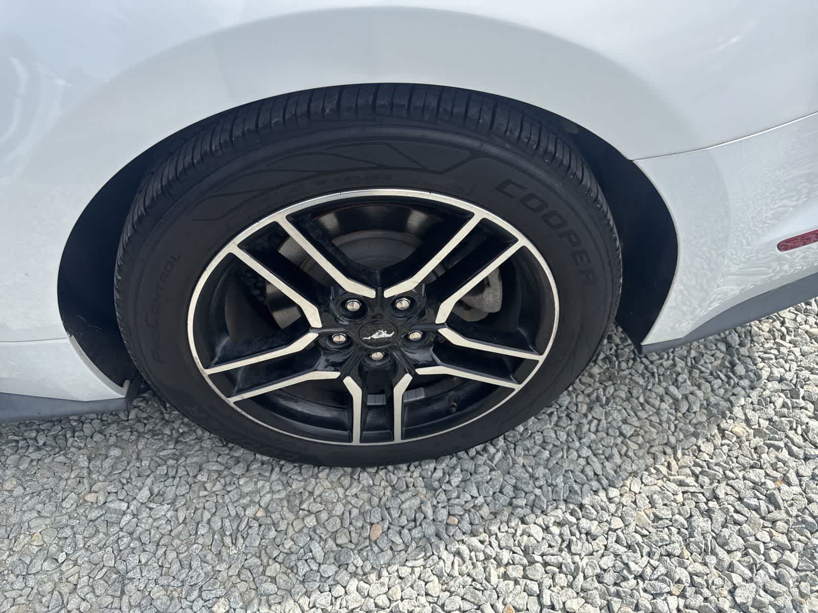 Thumbnail: 2019 Ford Mustang - 10