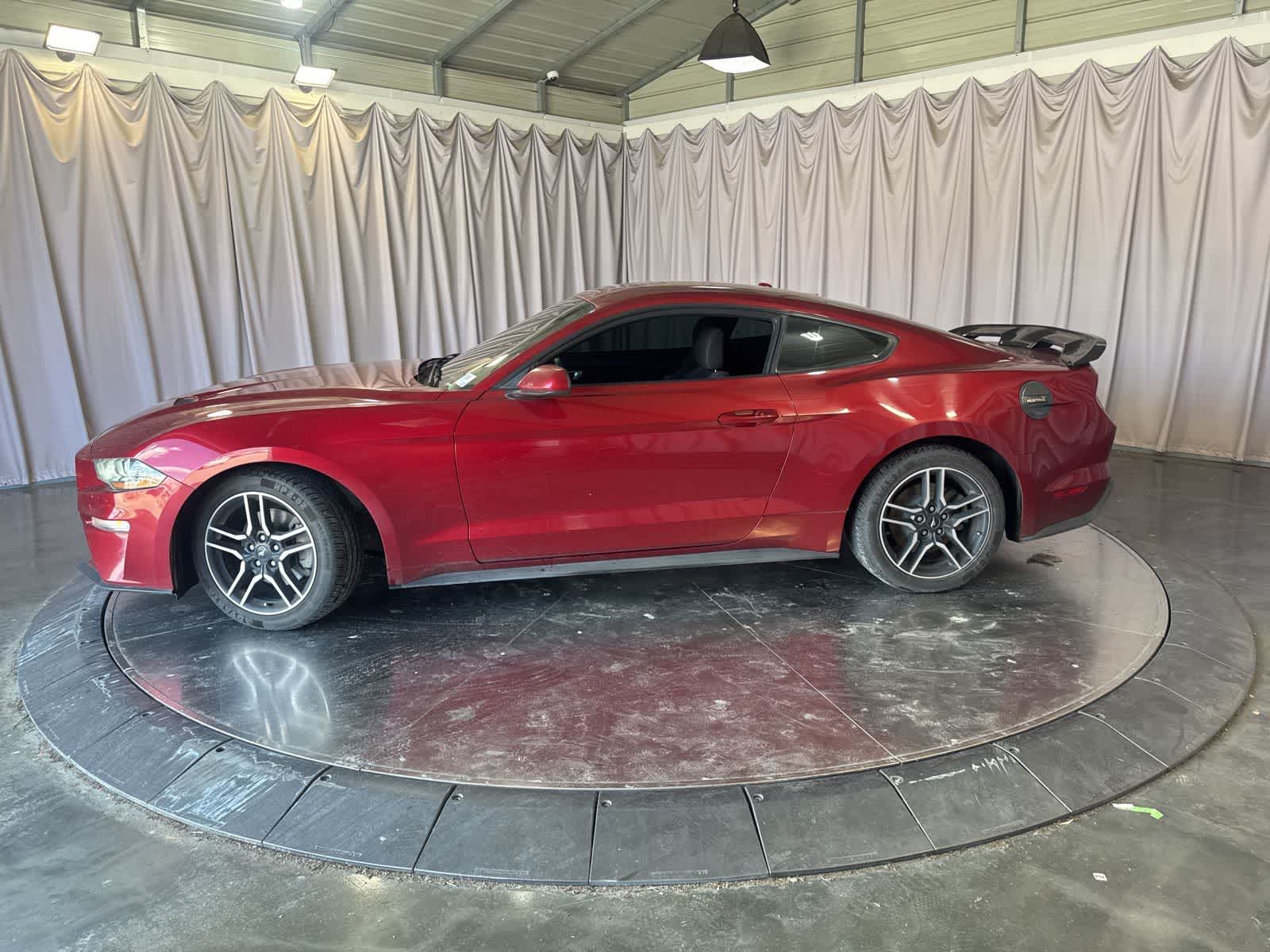 2019 Ford Mustang EcoBoost photo 3