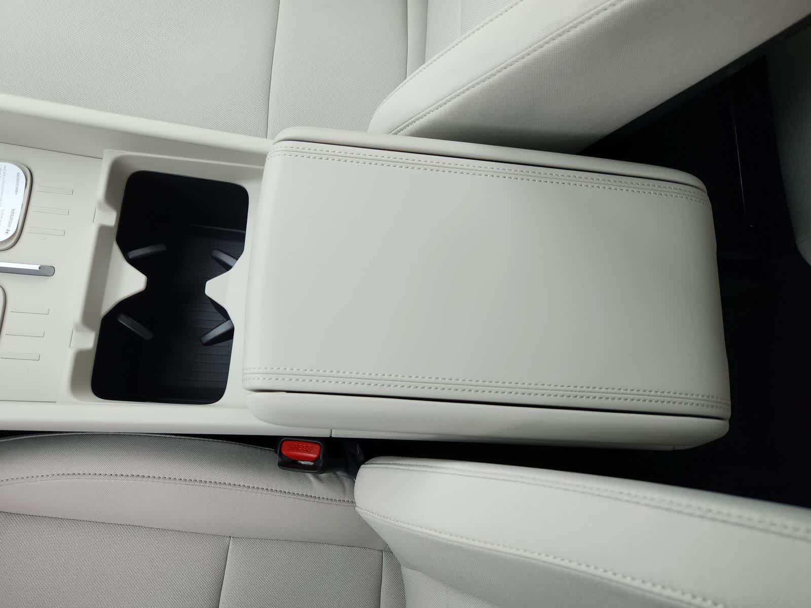 Thumbnail: 2026 Hyundai Santa Fe - 20