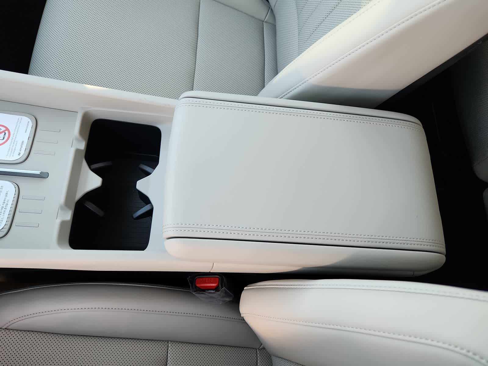 Thumbnail: 2026 Hyundai Santa Fe - 20