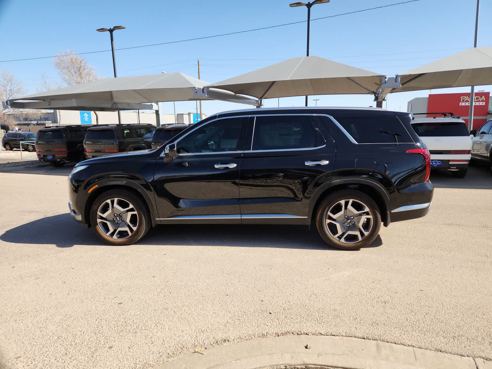 Thumbnail: 2025 Hyundai Palisade - 11