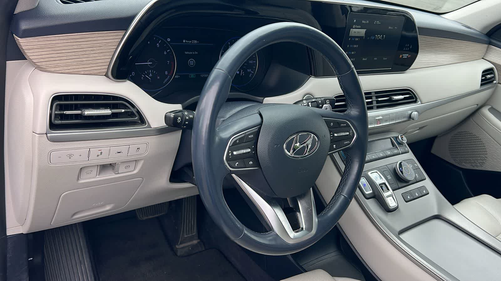 Thumbnail: 2020 Hyundai Palisade - 10