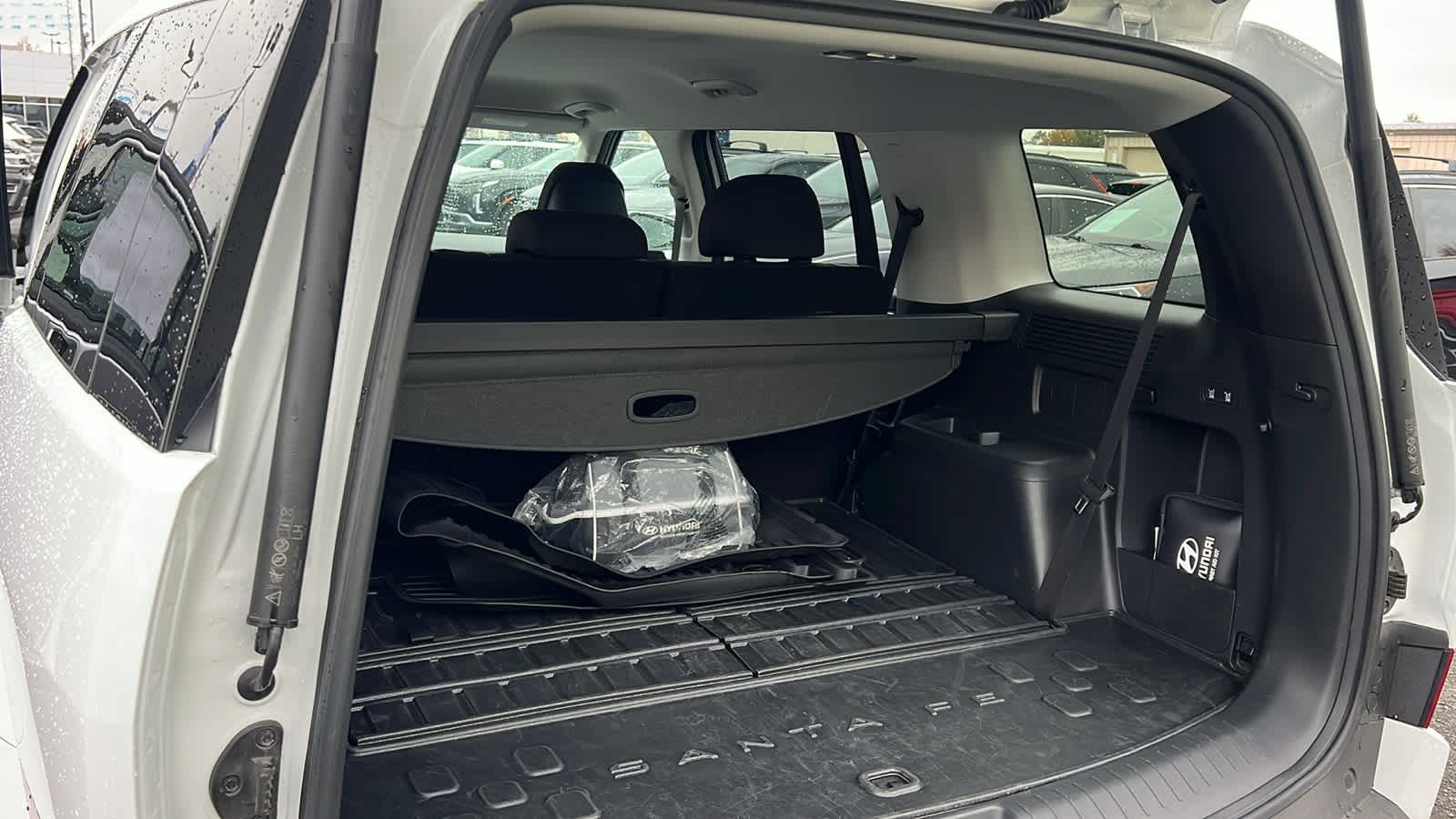 Thumbnail: 2025 Hyundai Santa Fe - 27