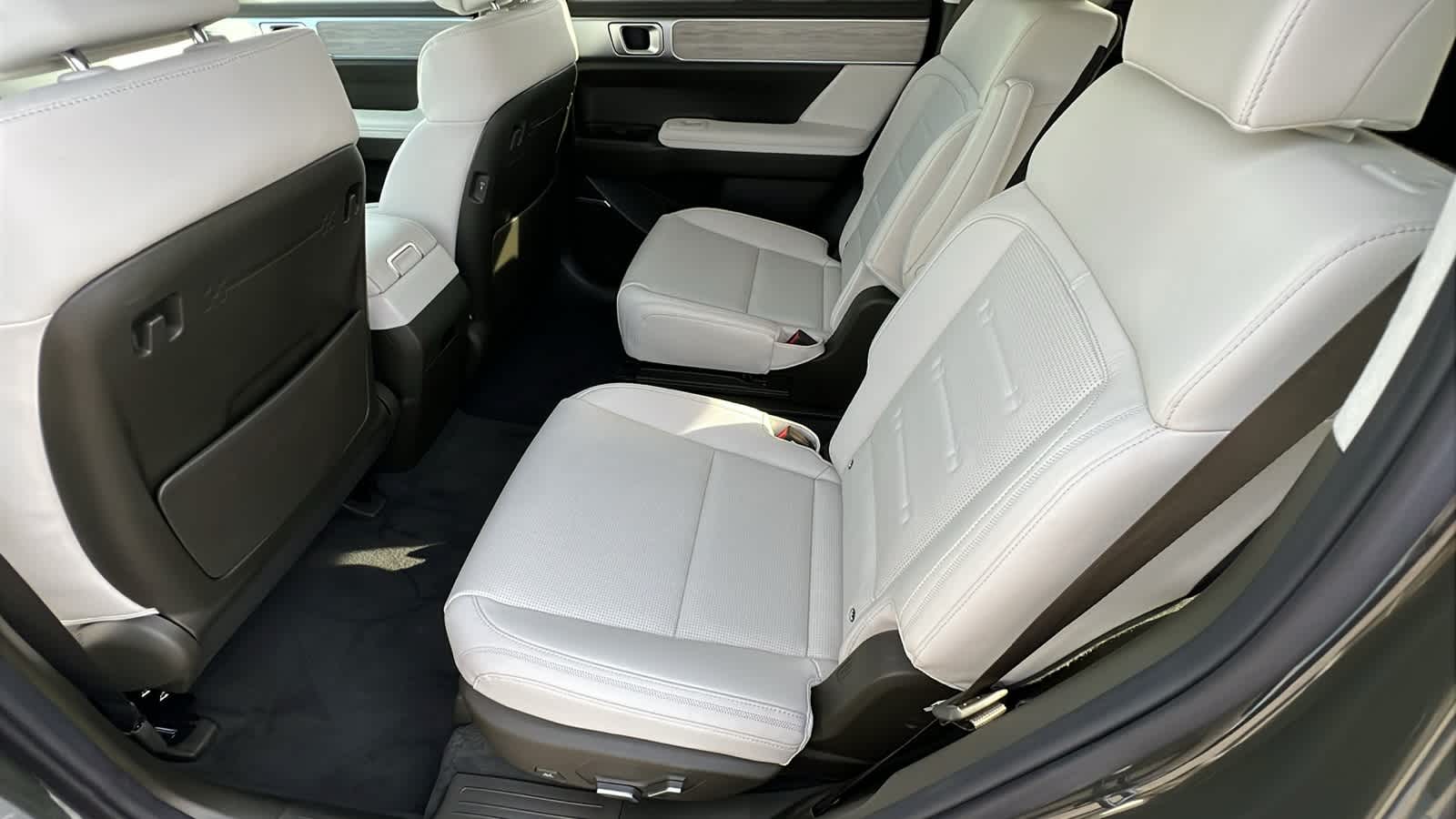 Thumbnail: 2025 Hyundai Santa Fe - 24