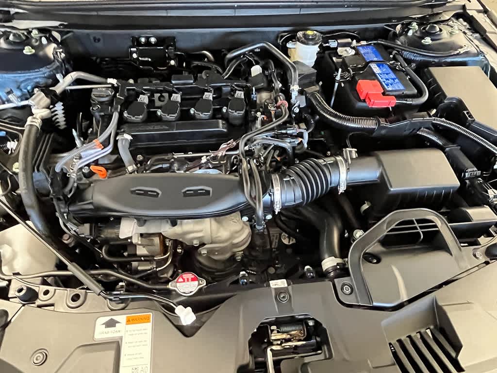 Thumbnail: 2025 Honda Accord - 11