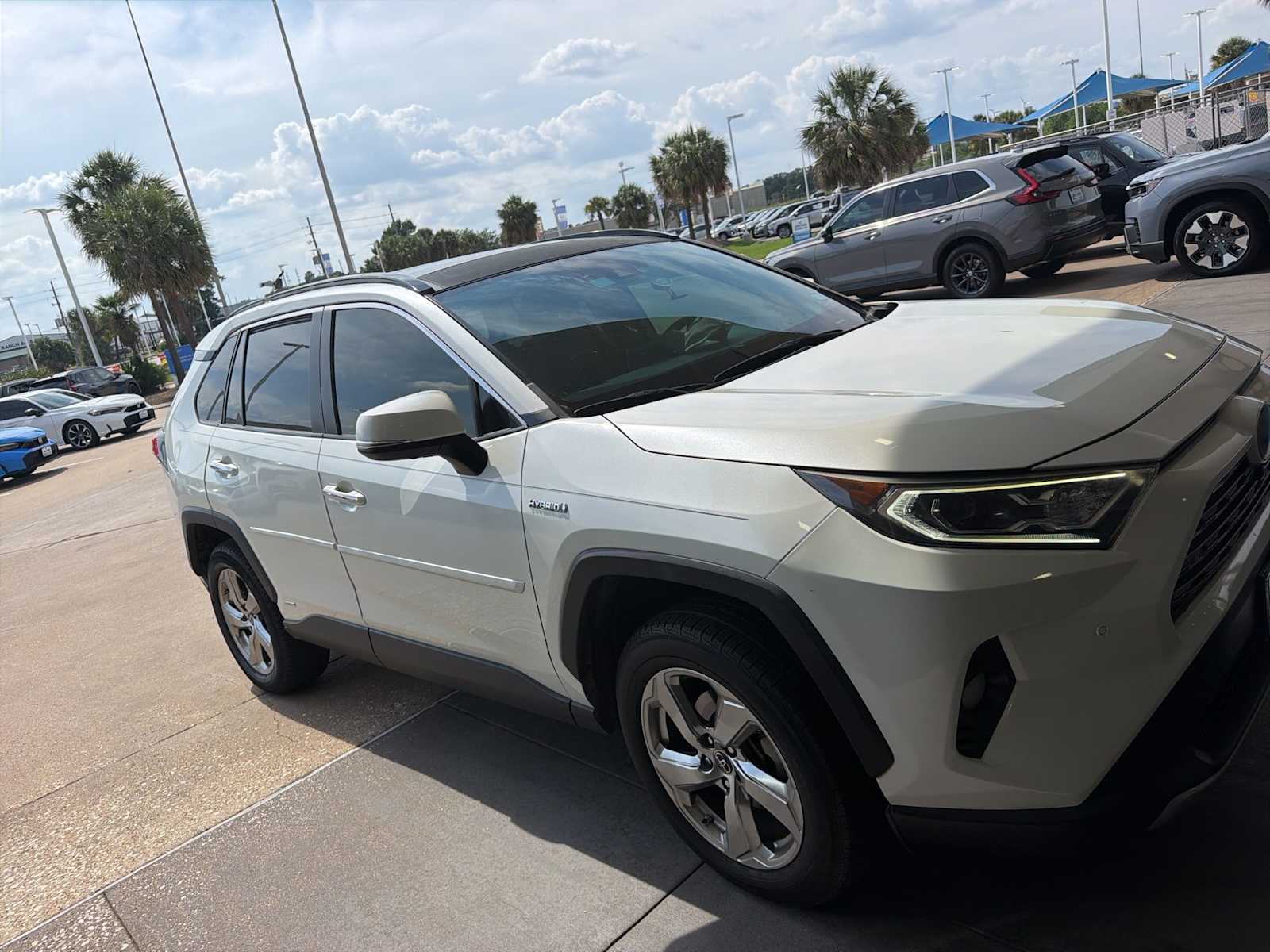 2019 Toyota RAV4 Hybrid Limited AWD's photo
