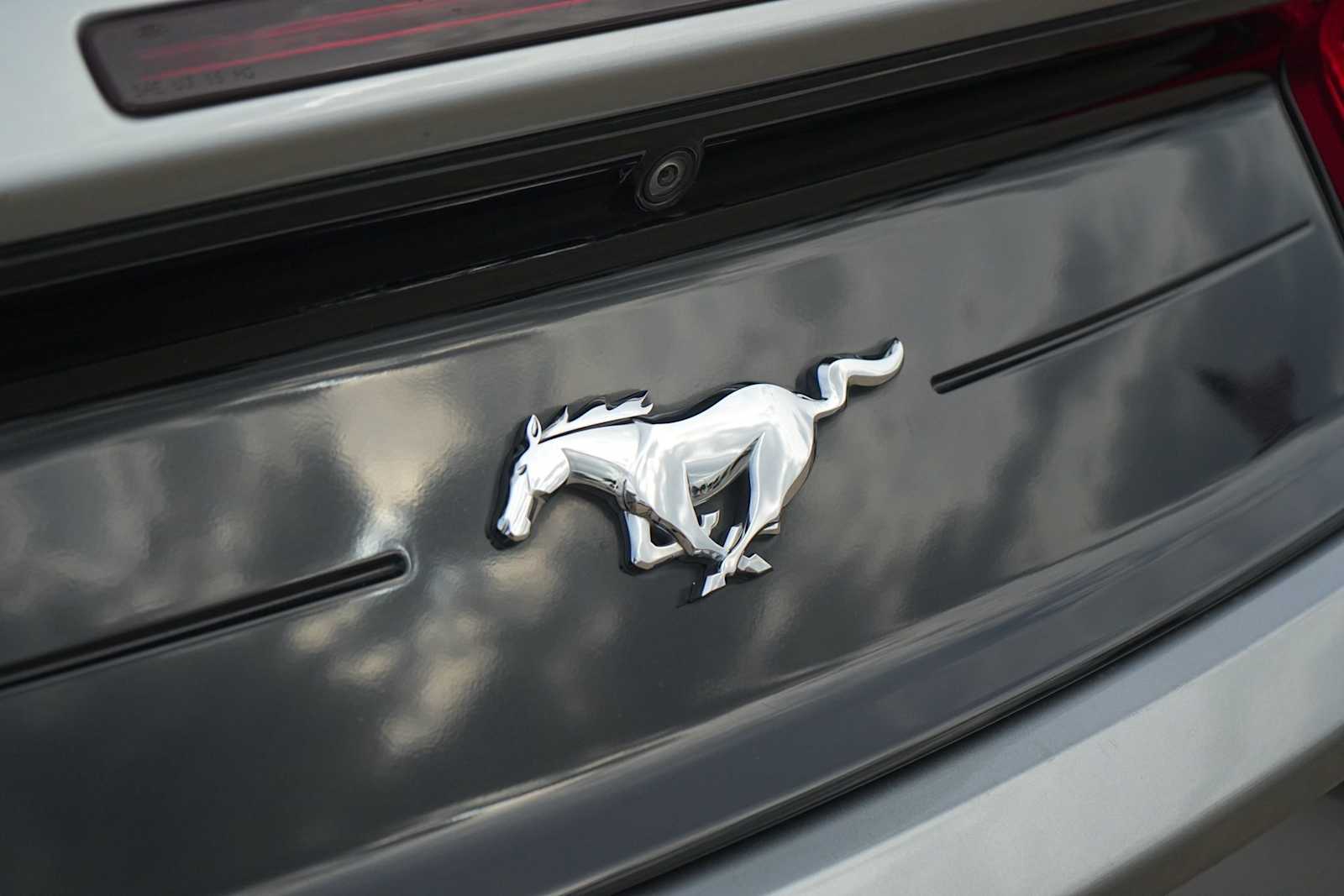 Thumbnail: 2022 Ford Mustang - 8