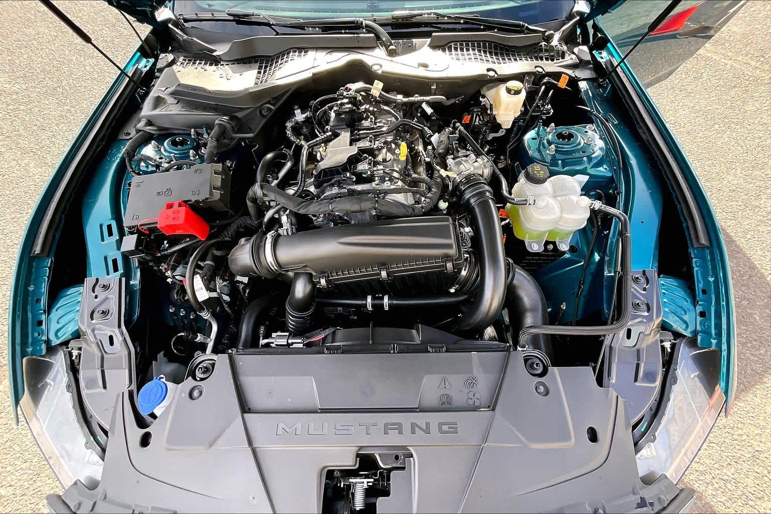 2026 Ford Mustang EcoBoost Premium Fastback - Photo 9