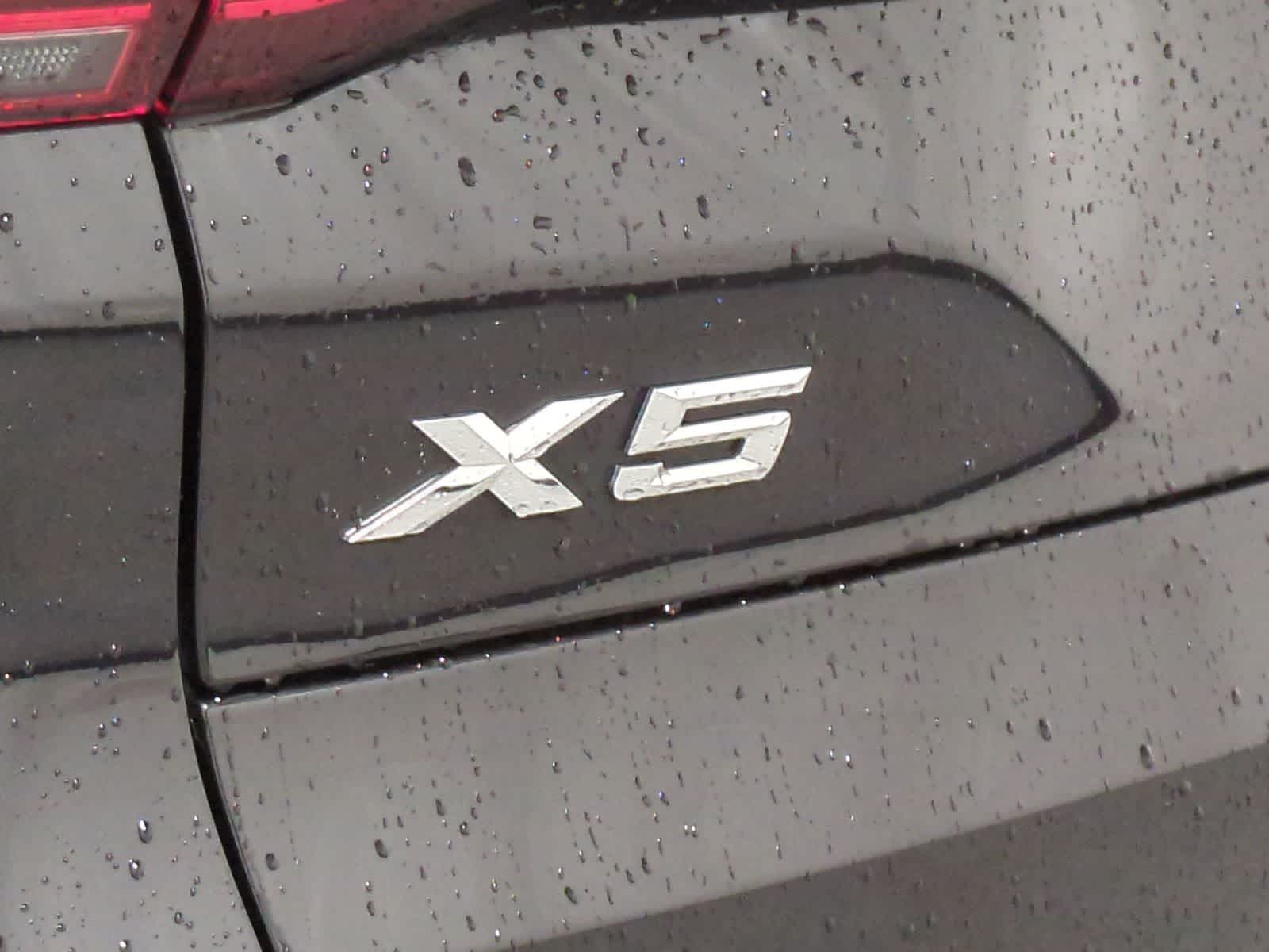 Thumbnail: 2019 BMW X5 - 13