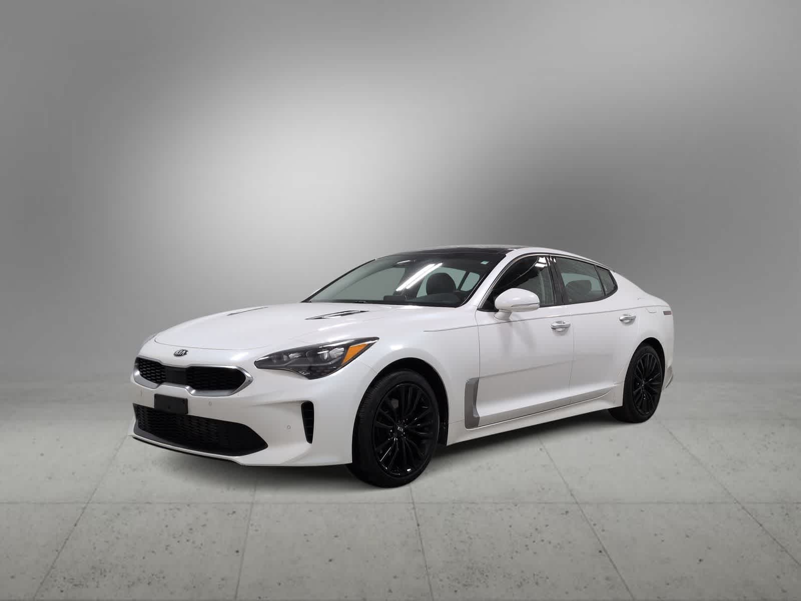 Thumbnail: 2019 Kia Stinger - 4