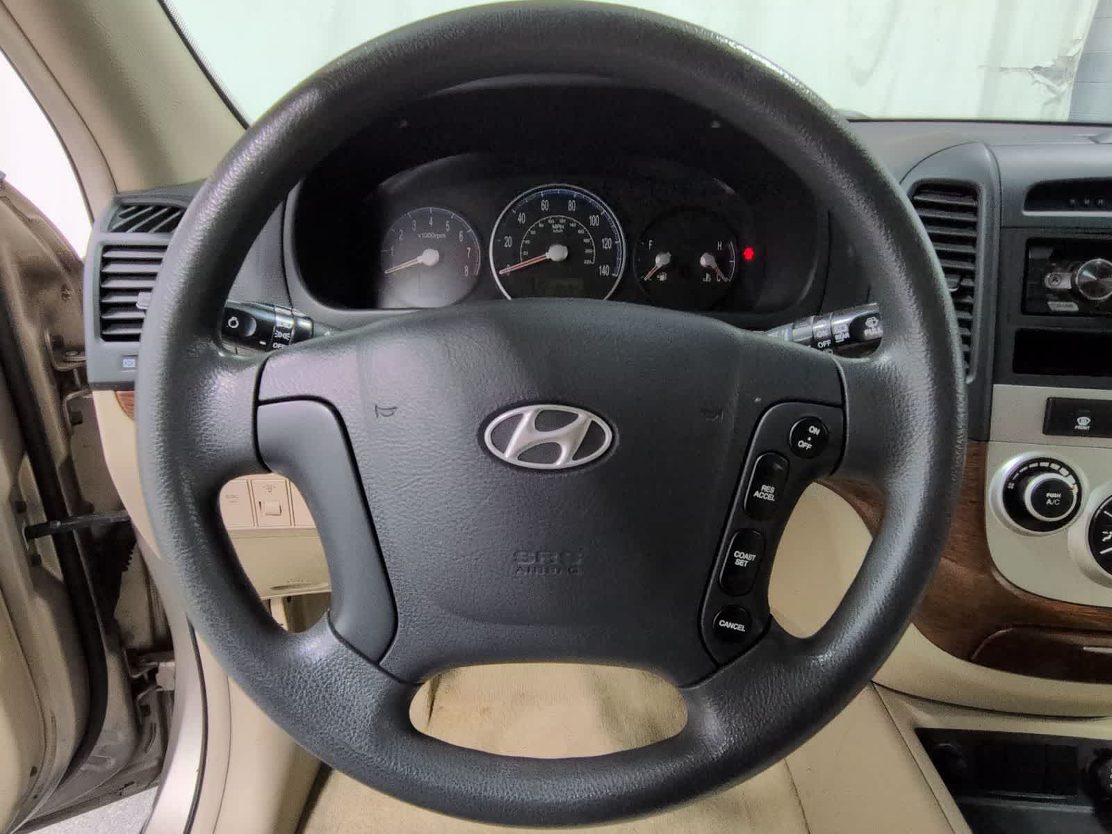 Thumbnail: 2007 Hyundai Santa Fe - 21