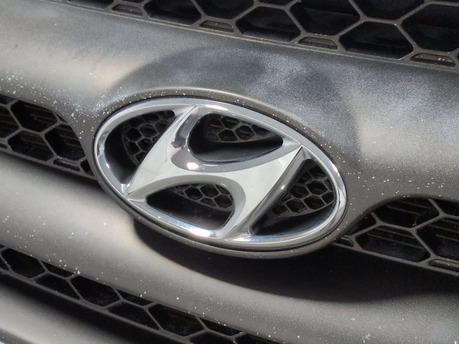 Thumbnail: 2007 Hyundai Santa Fe - 11