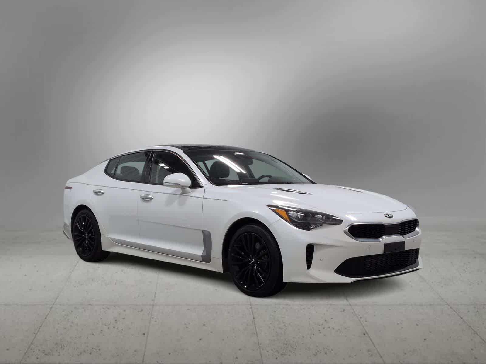 Thumbnail: 2019 Kia Stinger - 2