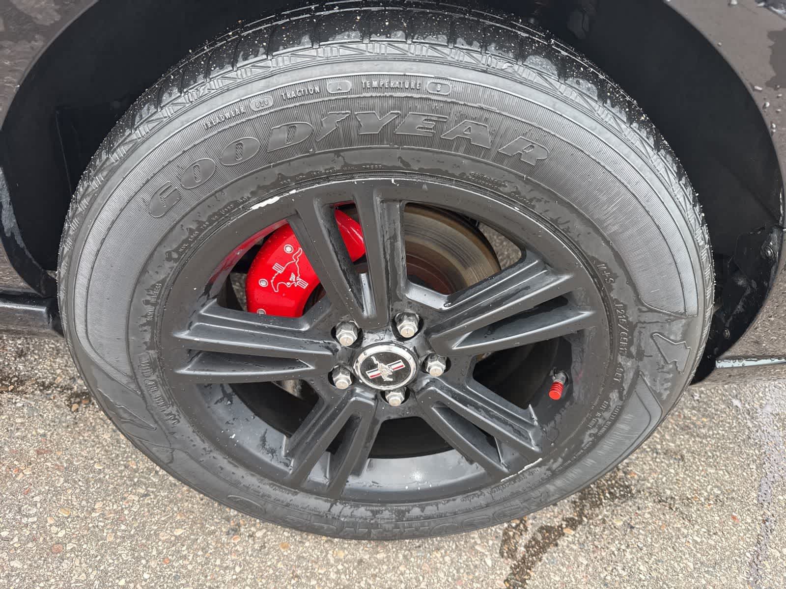 Thumbnail: 2014 Ford Mustang - 10