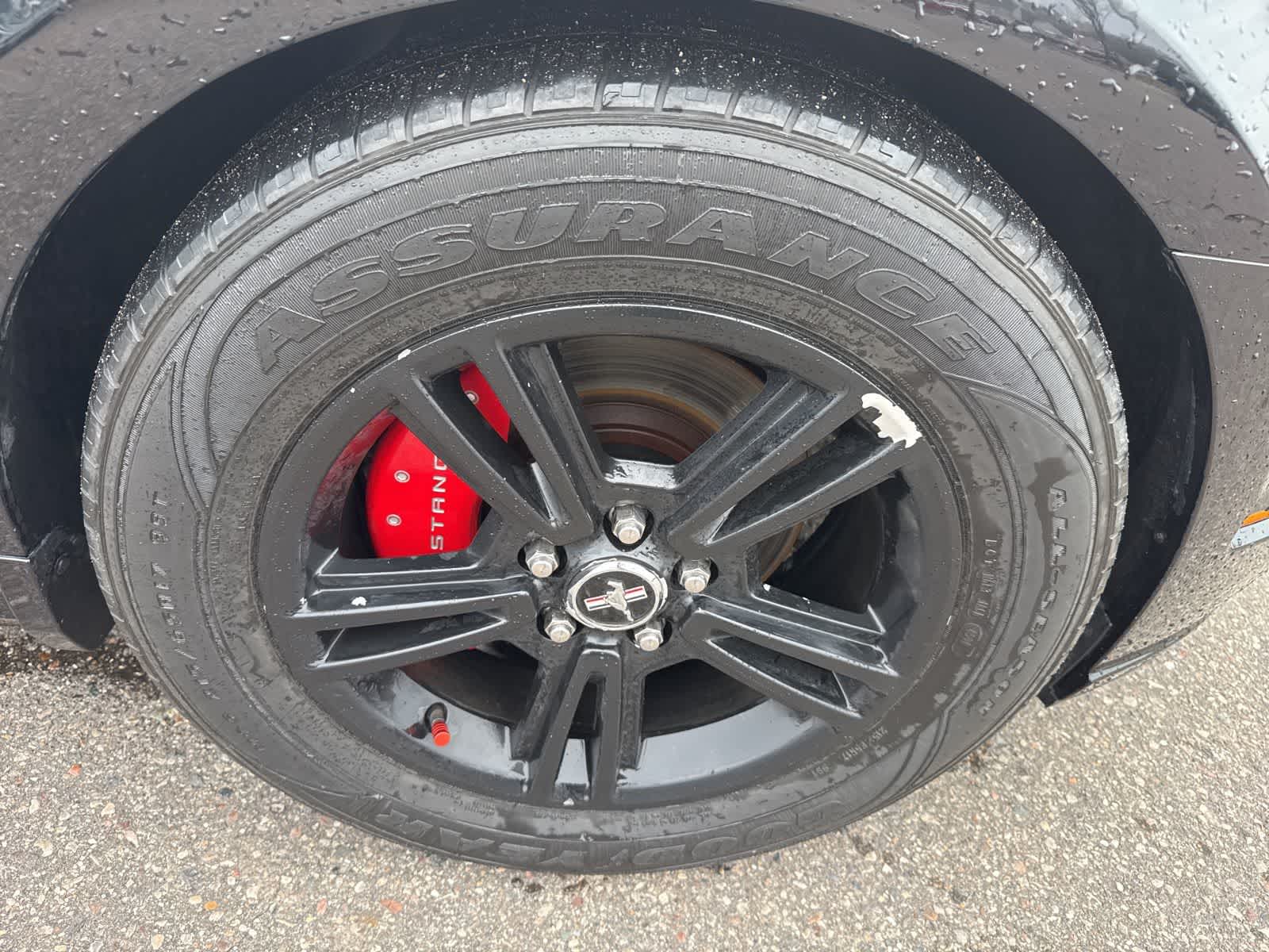 Thumbnail: 2014 Ford Mustang - 12